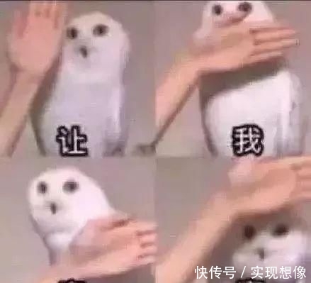  [粉底]50块的彩妆画出500块的质感？这些化妆工具功不可没！