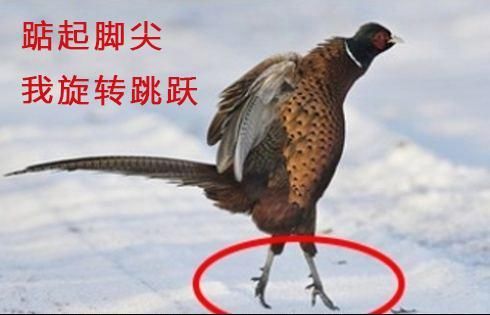 专家辟谣:原来那些朋友圈疯转的养生说法都是假的，你照做了吗?