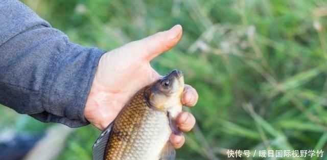 『大幅度降温』钓鱼:降温、下雨后,鱼情就差?