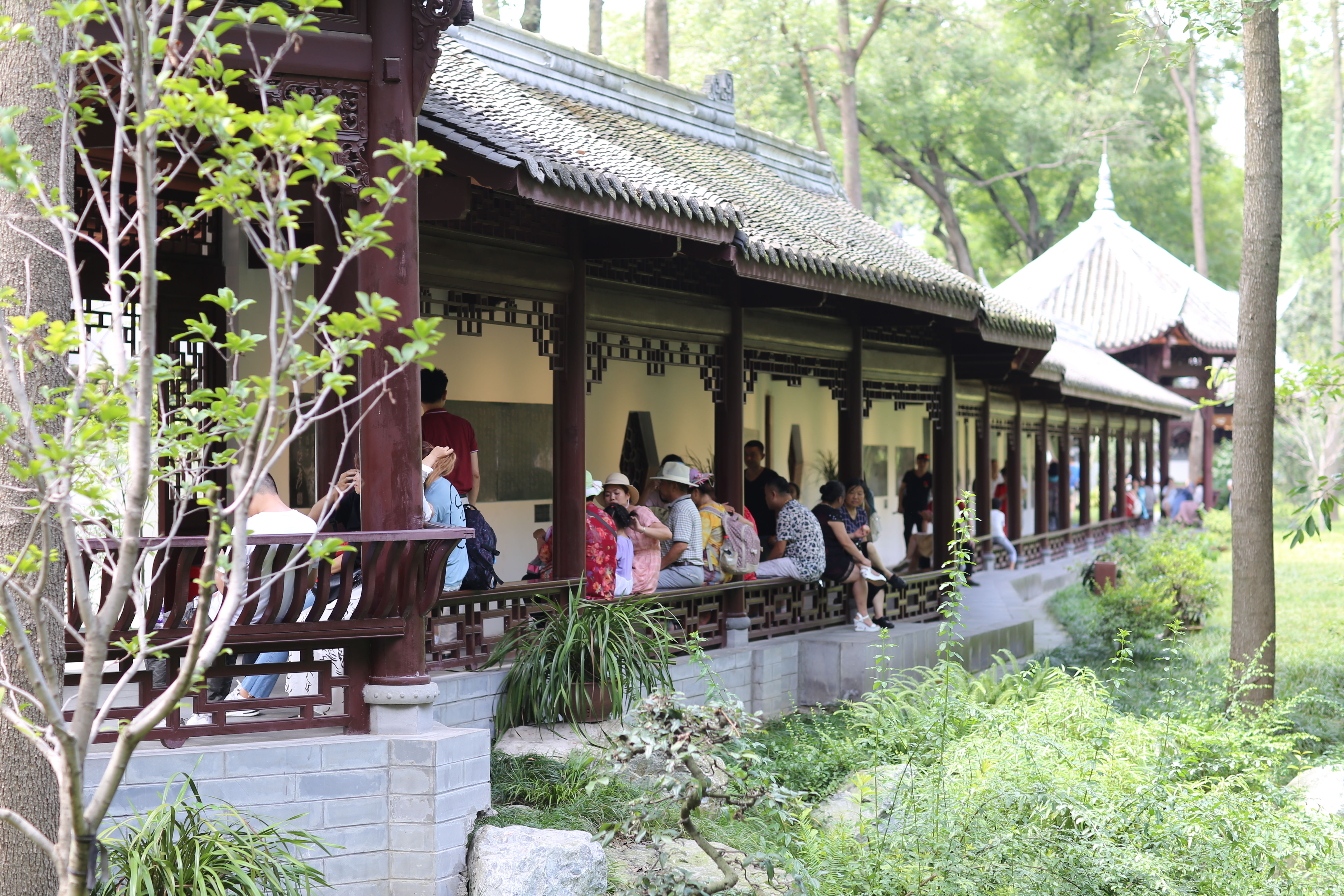 成都十二时辰，记旅行家红人天府之国”蓉城“游记