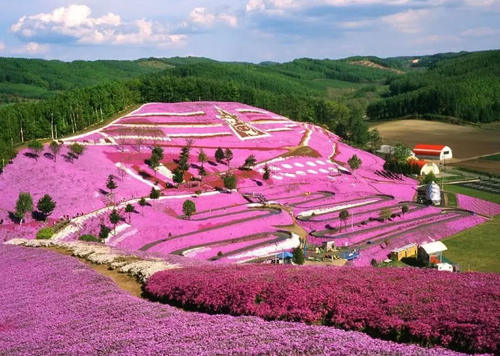 全球最美的10个国家，最适合情侣一起旅行，看看你都去过几个？