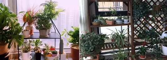 养花■3㎡阳台这样装,能晾晒、能储物还能品茗养花,让生活充满诗意!