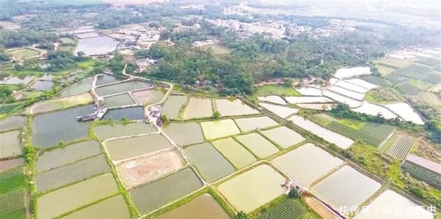  「地区生产总值」海南最厉害的县，富裕程度远超琼海 文昌，让三亚 儋州极具压力