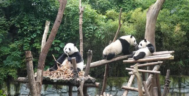 老外最想去旅游的中国城市，不是三亚不是杭州，而是最慵懒的城市