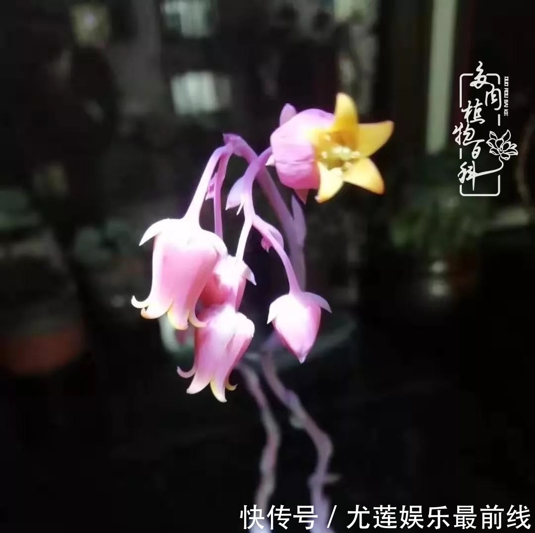  『那种』我爱的，就是你的存在！只要努力该来的都在路上！
