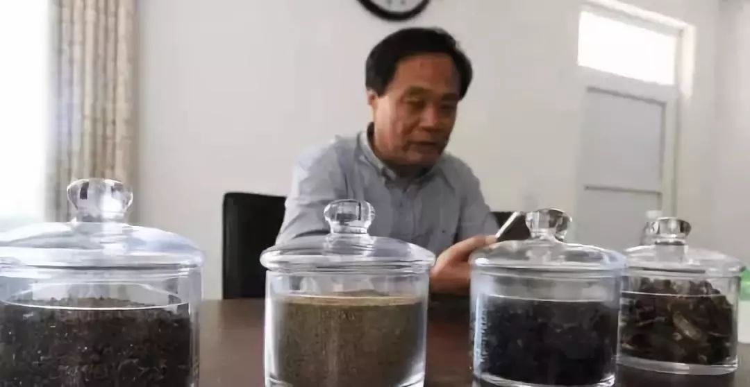 这个恐怖工厂：养10亿只蟑螂，每天喂50吨饭（饭前慎入！）