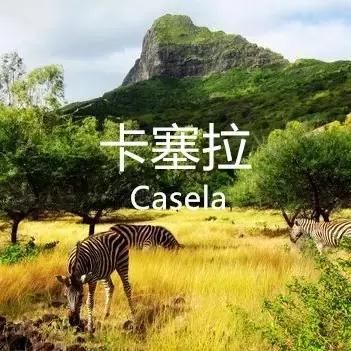 什么?世界上胸最大的动物竟然是它!