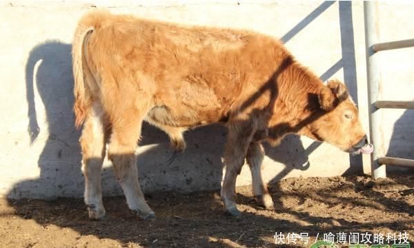  #我国人口#农村这5个行业看似不起眼，市场前景却不错，干得好都