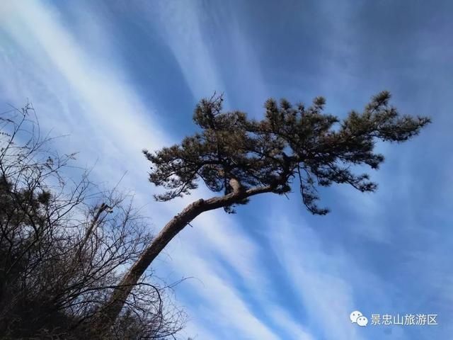 冬日纷纷的雨，悠远寂静的山！