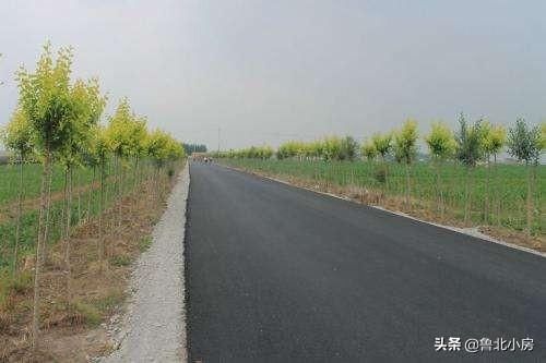 又一好消息来了!农村这3个问题被列入优先改善计划，农民早准备