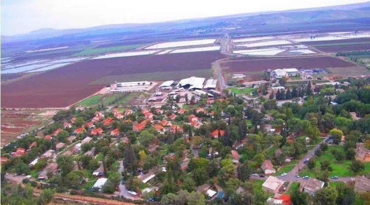  集体农场|这才是真正的“共享农庄”：除了老婆孩子，一切共享