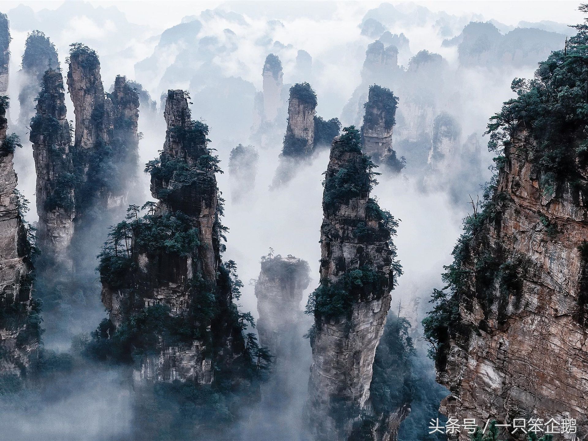 盘点我国门票最贵的十大景点，最贵的景点网友普遍认为不值