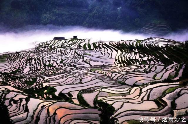 t0147ff6f3fd011f0fa.jpg?size=640x424