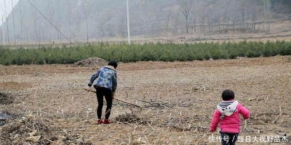  #农民#9月1日起，农民一种行为不再免费，村干部上门收，每家几