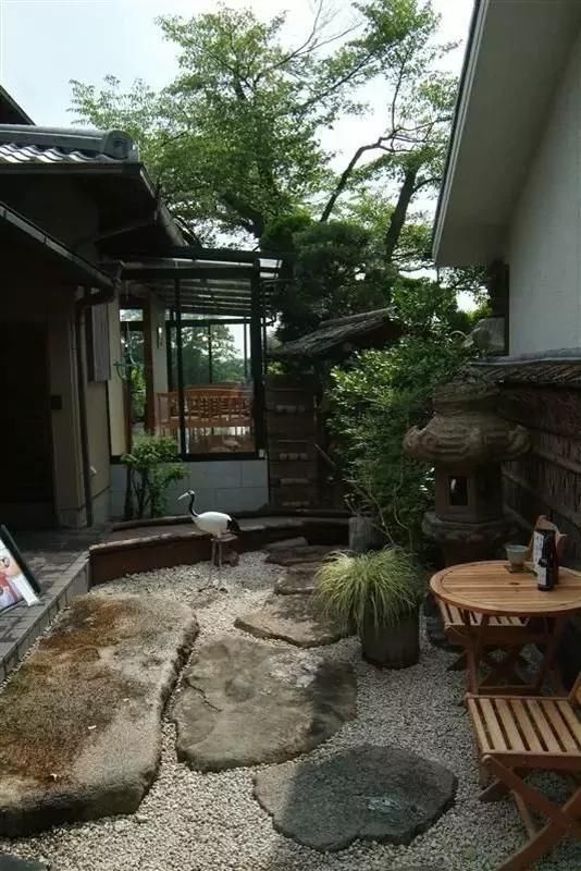 回农村 早院子，可劲造