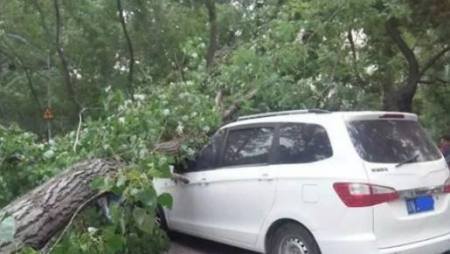 因“山竹”被淹,被砸的车,保险公司会赔钱吗?保险员是这么说的