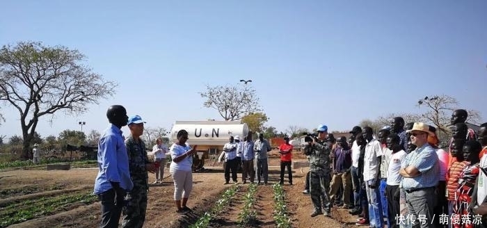  非洲地区：非洲为什么没人种地？因为没有中国人在这里，非洲人