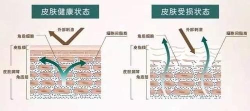  信以为真：某书上这些奇葩护肤方法，你却信以为真了？难怪皮肤越来越差！