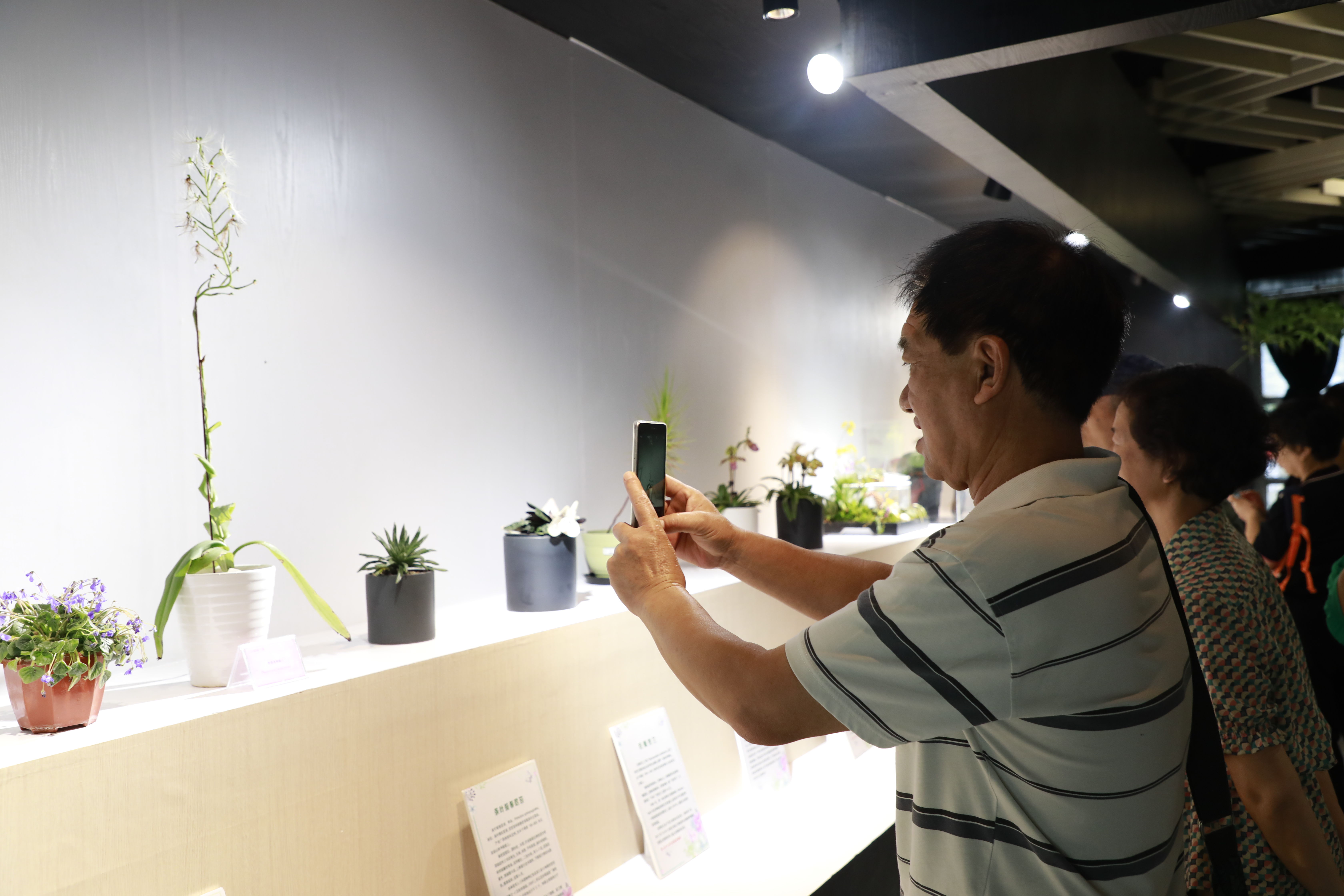  北京植物园|珍奇植物亮相北京植物园，22种获世园会大奖