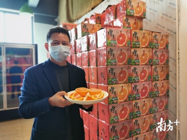  珠海@3.6万斤秭归血橙在珠海上市，邀你为湖北拼单