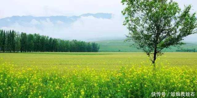 独库公路，媲美318川藏线！去一次震撼一次