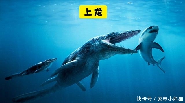 曾经在地球上出现过的10大巨型海洋恐龙