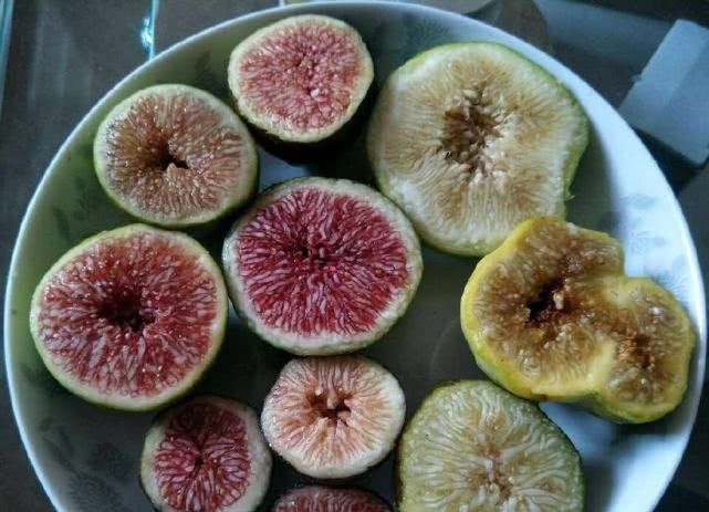 养好|最好养的盆栽水果,集观赏、食用于一身,养好了年年开花结果