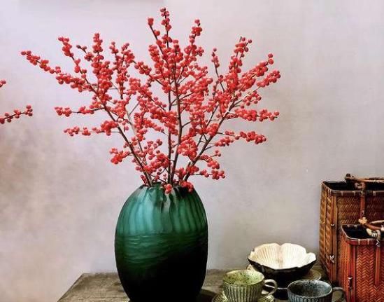 好运■5款适合“室内”的花卉，寓意“招财进宝”，花开富贵招好运