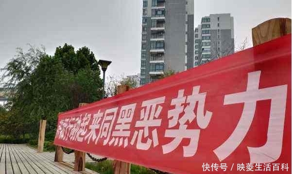  [农资]下半年，农村这四方面将会进行严查，农民直呼：好日子来