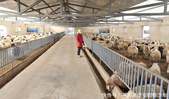  「夸张」不出10年，农村4个行当或将崛起，远比打工强，年赚10万