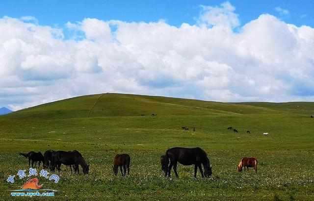 山丹军马场风景美如画