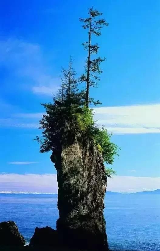 天堂照片!(快看)