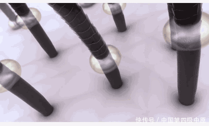 『款洗发』3款容易“踩雷”的洗发水，用后头痒又起头皮屑，没用过真的幸运