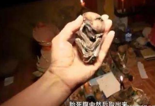 袁立微博再爆猛料，女星为出名养古曼童涂尸油，网友纷纷被吓