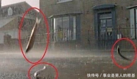  『国家』世界上最不愁吃的国家，天上老是有上万条鱼掉下来，随便捡！