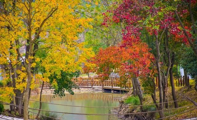 最适合发呆、晒太阳、撸猫的日子，大约在冬季