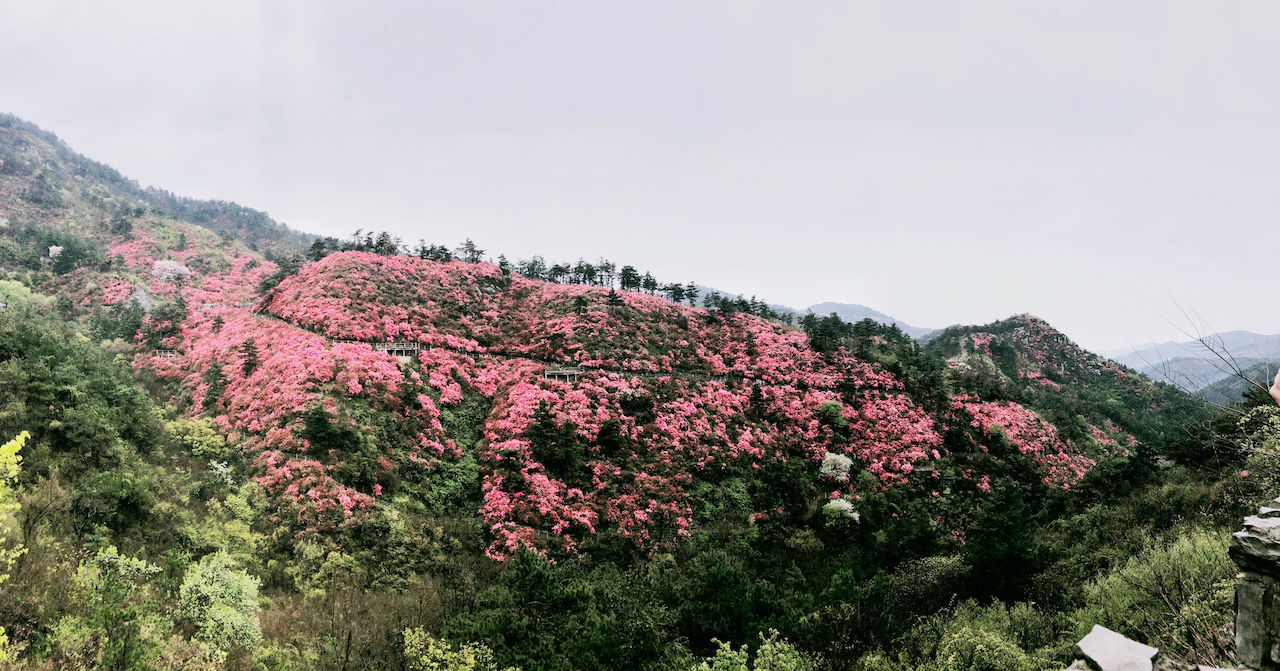 武汉周边游3??丨黄陂赏花和登山徒步，推荐这四个景区必须打卡