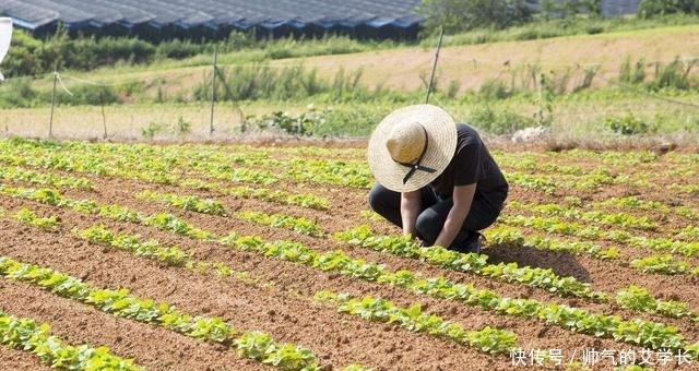 5年后，农村到处都是有钱人？专家：这3类农民会优先“富起来”