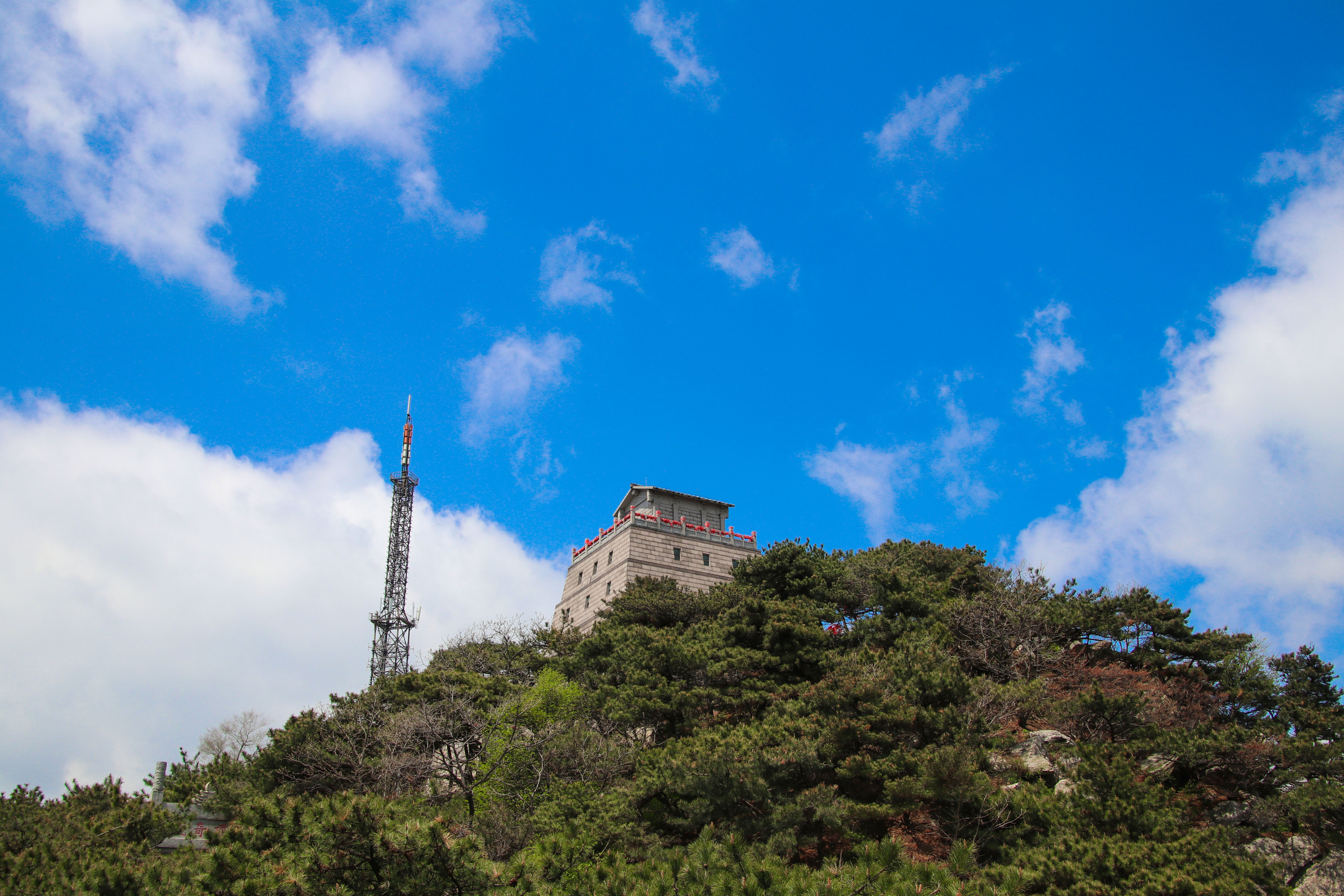 来沂蒙山，我“养”你啊
