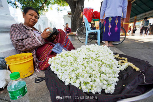 缅甸固都陶佛塔：全世界最伟大的功德佛塔