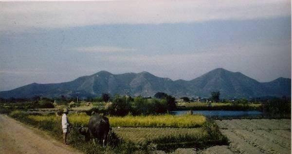  镜头|美国飞虎队镜头下1945年的中国农村