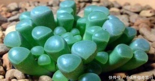 非洲遍地都是“玉石”，导游却告诫：别犯傻，可千万别拿！