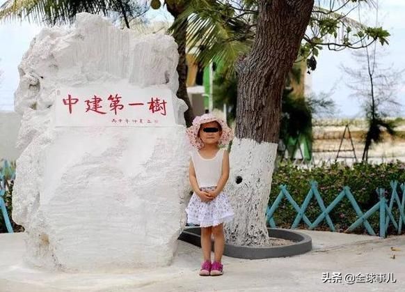 中建岛：曾经一座荒岛，如今绿树成荫，未来应怎样扩建