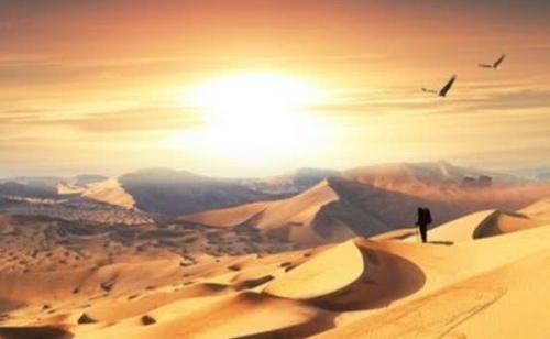  「圈养」沙漠救星来了！中国沙漠圈养150只“猛兽”，一天狂吐40