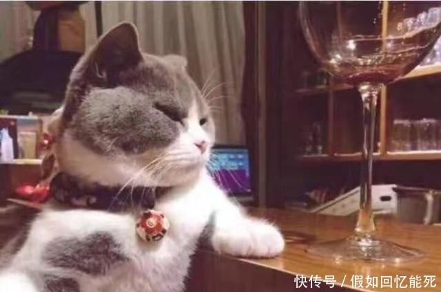 河南一景区,全是仿古建筑,到处都在卖东西,门票比龙门石窟都贵