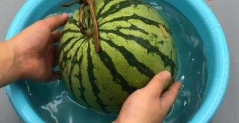  【吃不完】吃不完的西瓜别放冰箱了，营养流失严重，用这招轻松保存