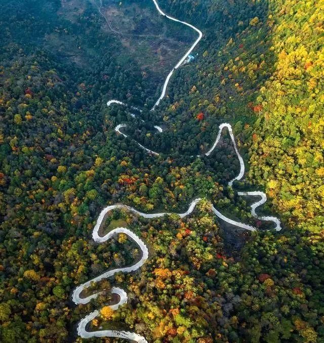 秦岭这条公路，秋天必驾，5处醉美之地值得看看