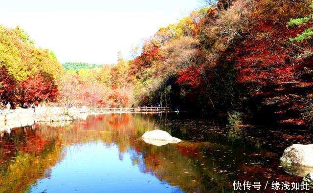 中国北方最美的枫叶,国庆赏秋的最佳去处,和南方差别很大