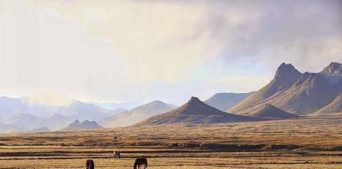 西藏的“无人区自驾游”为何消失?严格禁止入内,实在太危险!