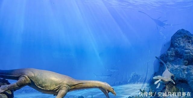 国家海洋博物馆值不值得去?来看看游客怎么说